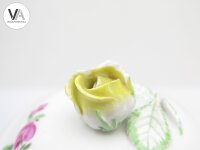 Meissen Porzellan Kaffeekanne mit Untersetzer bunte Blume 26cm hoch