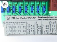Pepperl + Fuchs Trennschaltverstärker Messverstärker EG4-RLK  / Y17096